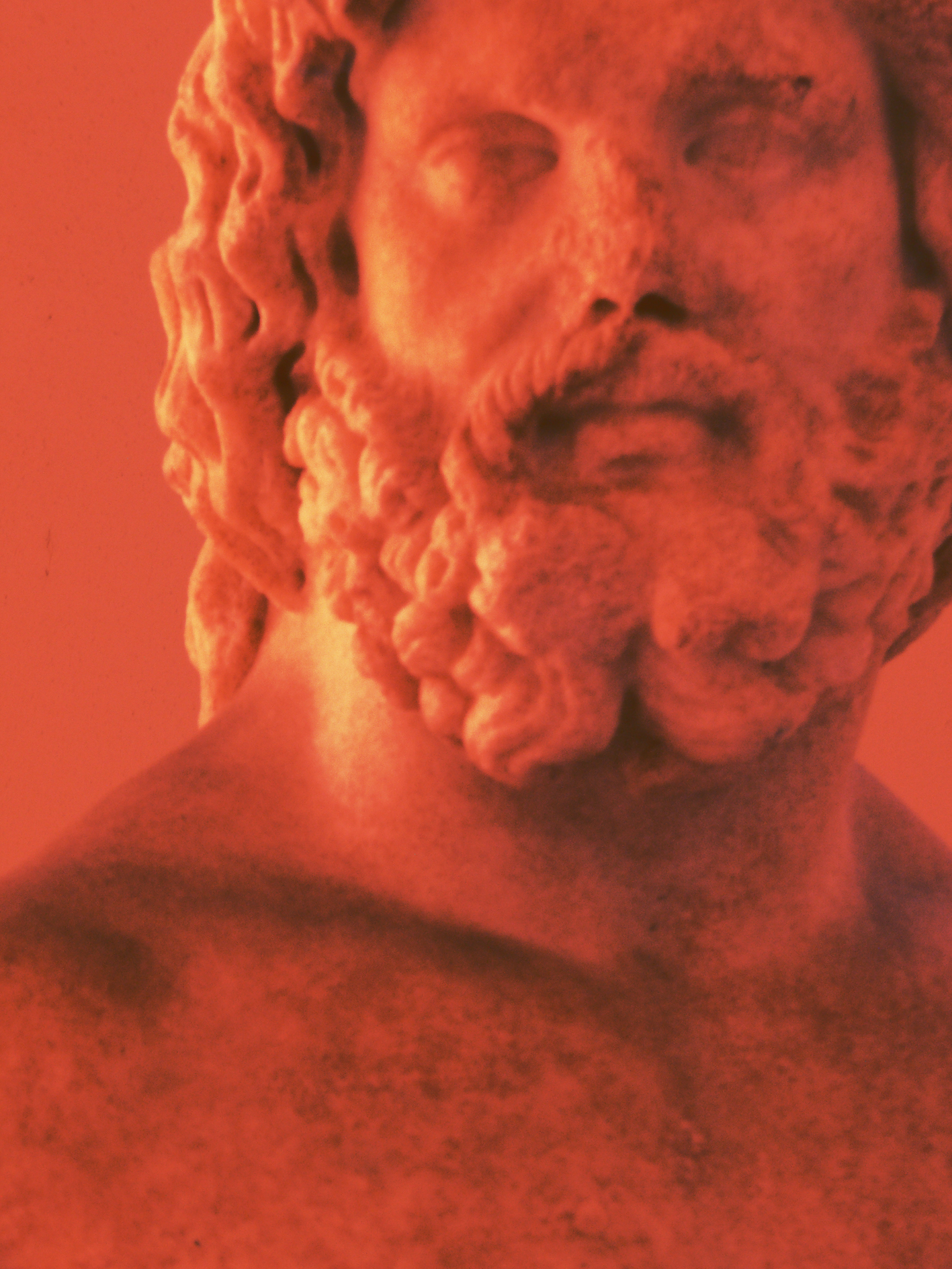 Anteprima stampa mostra fotografica STATUAE VIVAE